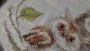 20231216_130130.thumb.jpg.d0a24cdda1480ca1c1249e1c1a7314f2.jpg