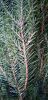 20231220_104424.thumb.jpg.938a58880e8a934deae608f50b4faa3d.jpg