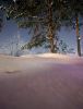 2100624036_.thumb.jpg.04c2f4413e6d785521ae22bb2dcf84f4.jpg