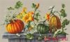 Luca-S B2303, Pumpkins
