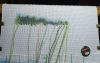 3D1370D0-EDEE-4C81-8C03-259B6D91C5F7.thumb.jpeg.3aeeab2f765e414e3496312e9db175f6.jpeg
