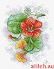 46709.thumb.jpg.ec53fc760ded0c1616d7584686e46898.jpg