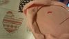 5.thumb.jpg.e806a063d86bd9bc1b8c9c94c4bd9317.jpg
