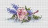 51317.thumb.jpg.b01a7c6beef9b69039f80ff90e55a39e.jpg
