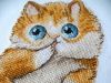 7.thumb.jpg.6d975fd57606fc7dbcd403a320564762.jpg