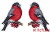 8697A503-1816-49FC-B69D-3B19D9668A88.thumb.jpeg.deb4d1cc49156101894c41137f1c25e5.jpeg