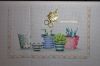 DSC07789.thumb.JPG.139f86ce0d312f423cc00aedb24118be.JPG