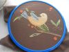 DSCN6109.JPG