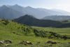 DSC_1373.thumb.JPG.42c521273732e03eea998c3158fdd5db.JPG