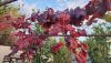 IMG-20231029-WA0062.thumb.jpeg.7f83ac0e3ffce93e1c62bc908456b039.jpeg