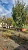 IMG-20231125-WA0012.thumb.jpeg.adfde1d772a03a3a44588cb1394e30cc.jpeg