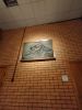 IMG20231202113702.thumb.jpg.9de5d5a7fb07300bd45e8f79af7e376f.jpg