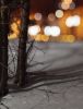 IMG20231202173745.thumb.jpg.f4e6ca801628d6bcf670eb68c089b96a.jpg