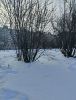 IMG20231207120816.thumb.jpg.821fd713ff8300846808dec1093b407d.jpg