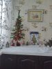 IMG20231215114220.thumb.jpg.0f31cd5cfcdcabfd4820216bb63ef7f4.jpg