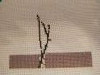 IMG20231216120627.thumb.jpg.1ce5b02bed4b375e3d964de87cebc7ad.jpg?1703418997892