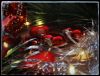 IMG20231219154509-01.thumb.jpeg.f9b2f76ee468d1db5104897fa44c0b70.jpeg