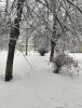 IMG20231223143105.thumb.jpg.c98ee3ab5a93fc1776063476b0c445bd.jpg