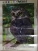 IMG_20231117_222118.thumb.jpg.4403f732984b90a628c02f0ce437c0d1.jpg