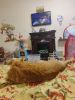 IMG_20231202_101809_0976.thumb.jpg.e7b0bc7d2d167dfbfddee5c851a7b4d4.jpg