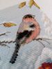 IMG_20231202_120534.jpg