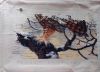 IMG_20231205_095231.thumb.jpg.45750778af1fcb6c714b9c14f8d01c8e.jpg