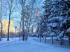 IMG_20231207_114339.thumb.jpg.91d4925be224eebc0b833b086701e3de.jpg