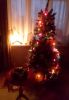 IMG_20231208_163815.thumb.jpg.718295d004f51c78d7672eb3d20ac792.jpg