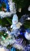 IMG_20231211_131858.thumb.jpg.66e6355f4f91404c66d0a2dfd5a9bb2e.jpg