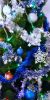 IMG_20231211_131912.thumb.jpg.2eb3541351010ae021ea3e3784a62cf9.jpg