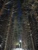 IMG_20231214_155135.thumb.jpg.4fac528b466c98e2fbfb6bc044693f3b.jpg