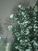 IMG_20231214_170934.thumb.jpg.9d7ba185a2bfcbc75ff5e6fe7eac40b2.jpg