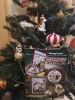 IMG_20231215_110718.thumb.jpg.2b78bb7457dab9d22edb44f93560f985.jpg