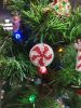 IMG_20231219_184502.thumb.jpg.8311bb54ca506442ffb58301480bed8e.jpg