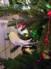 IMG_20231223_155441.thumb.jpg.6cc30d14f2c1bea24b5c244411ed0c7e.jpg