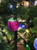 IMG_20231223_155554.thumb.jpg.2a3cd678b336eedd2906929c3db277bf.jpg