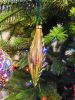 IMG_20231223_155609.thumb.jpg.8cf48ccd79bf5016f53993cfa5ccfc48.jpg
