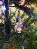 IMG_20231223_155619.thumb.jpg.b21bc422d8eb062b2e562edf5589876e.jpg