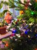 IMG_20231223_155623.thumb.jpg.93766ebbb3ff6dd38d04e9d8a9bd488f.jpg