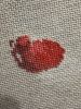 IMG_3658.jpeg