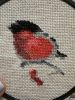 IMG_3661.jpeg