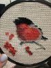 IMG_3662.jpeg
