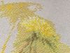 IMG_6944.thumb.JPG.081c7e5caf00c574b47a83c6faad658b.JPG