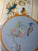 IMG_7141.jpeg