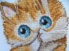 IMG_7152.thumb.jpg.cbef53b532a9635f18643f45e737a7ca.jpg