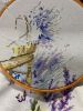 IMG_7349.jpeg