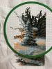 IMG_7658.thumb.jpeg.9950071d367f43942b72ebb88ea10966.jpeg