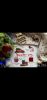 Screenshot_20231207_215830_Gallery.thumb.jpg.851754cb61e49cfe4401f4d70f28eda2.jpg