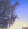 t5TcdSLIzck.thumb.jpg.2497a9d42b919144df99efd290f6a87e.jpg