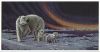 0059216_polar-bear-and-cubs_625.thumb.jpeg.902d5de803c256f4e0afbeb0560b1fc1.jpeg